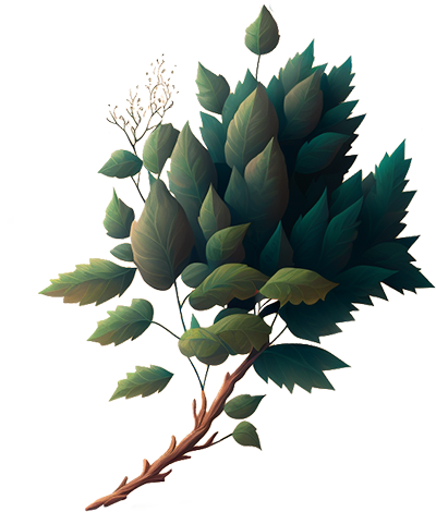 A tree branch with green leaves.